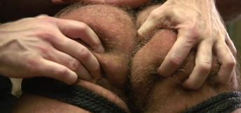 Hairy ass male slave grants his master the perfect opportunity for maledom kinks
