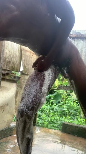 I am wait for my girl