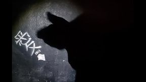 Bad wolf28 と彼の最も強力な術。