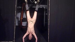 Elise Graves In Restrained Bondage Babe Upside Down