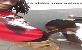 Dread dude getting his dick sucked in the toilet