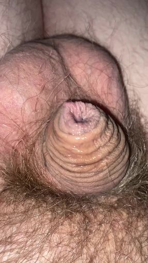 Small Dick Tiny Hairy Dick trying to cum hands free