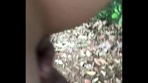 No matinho