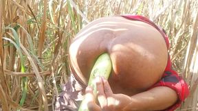 Ass fucked with gourd in sugarcane field.  Big ass