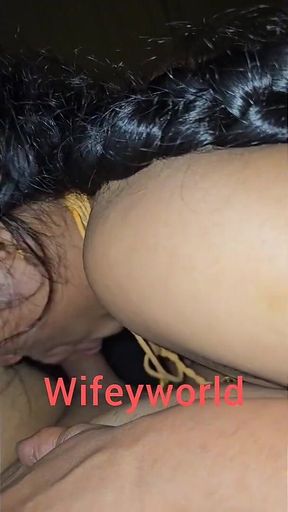 Good Night Load Swallow