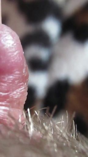 Extreme Closeup Pulsating Huge Clitoris FULL VIDEO   Clip 1