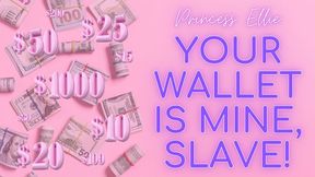 Your Wallet is Mine, Slave!