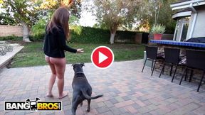 Hot - Moe Johnson vergräbt Seine Anakonda In PAWG Maddy O'Reillys Arschloch