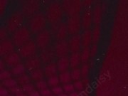 Feral Gooning E girl cums using phone