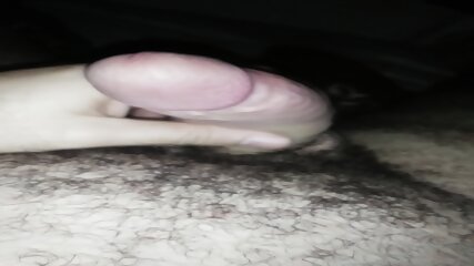 Pula mea