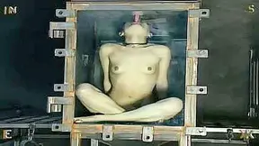 Insex 2003 - First Day