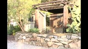 A Wonderful Tight Tiny Shaved Pussy for My Hard Cock