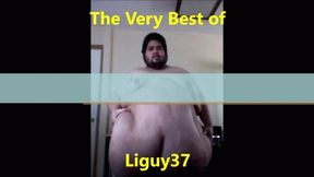 LIGuy37 The Very Best Of