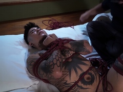 Shibari And Ass Destruction
