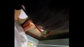 B&uacute_ cu l&agrave_ niềm đam m&ecirc_