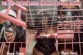 Pet Play: Bad pup Learns Obedience in Crate Training
