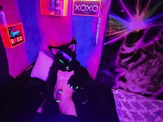 Alleycat paws off with fresh toy