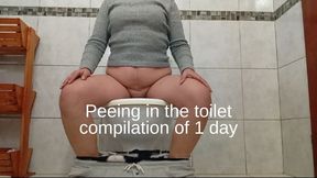 Peeing in the toilet compilation of 1 day
