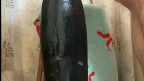 easttnguy22 mr hankeys boss hogg xl compilation 2