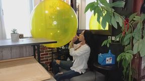 Mishels 36 inch crystal inflation teasing and sit pop