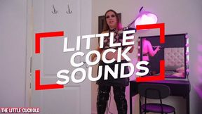 Big Urethral Sounds For A Small Cock Cuck - 1080
