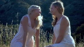 Nice ripe and juicy Californian oranges in the hot and warm summer breeze