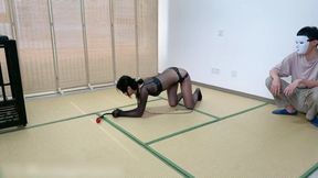 HH111-Training your own Asian puppy