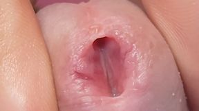 Extreme Dirty Stepdaddy's Widened Hole.