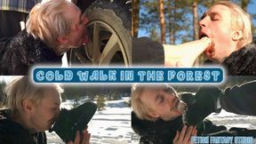 cold walk in the forest (HD 720p MP4 )