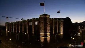 Shevon's Arrival - The Greatest Petition of All Time