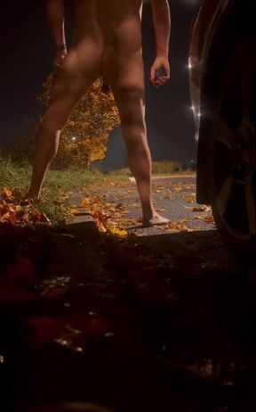 Lots of cars pass by me when I&#039;m naked beside a busy road , anyone of them could have seen me