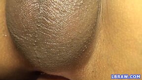 Transsexual kim hammered condomless