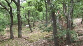 Outdoor Couple Fucks in Forrest