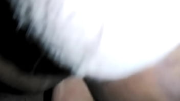 TRANS avec arabe 20cm