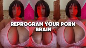 reprogram your porn brain | uncensored big fat gooner boobs