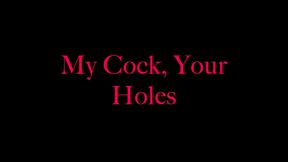 My cock, your holes