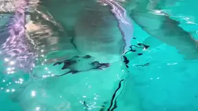 Italian MILF gets wet in a bikini