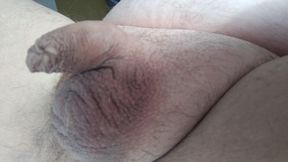 Still Tiny