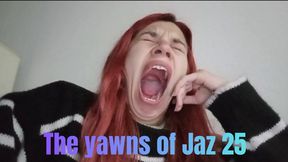 The yawns of Jaz 25