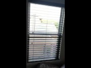 Jerking off in front of open window and swallowing own cum