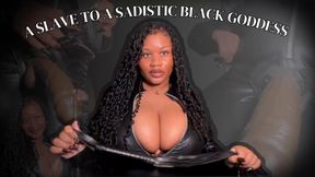 Whiteboi Humiliation