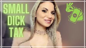 Small Dick Tax (Beta Safe Censored Loser Porn) 720WMV