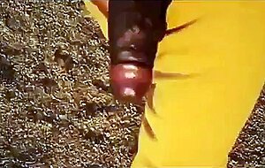 Big Black Cocks Outdoors