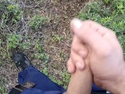 driving the truck I stopped to pee and had a quick wank