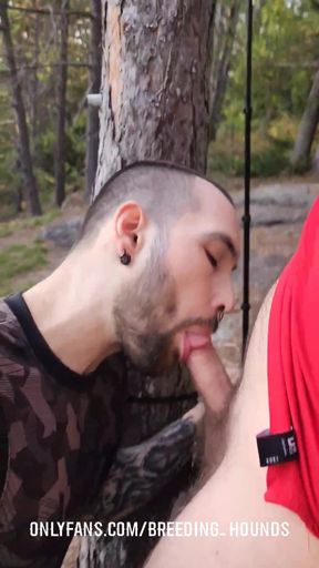 Emotional moment from &quot;Horny straight bro blowing and kissing while on a mountain hike.&quot;