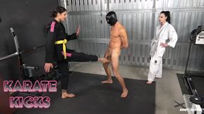 ENEA SLAVE - KARATE KICKS - mobile version