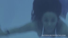 Lexi Wet Look UNCUT