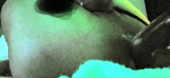 In chastity my fuck machine sissygasms analgasms creamy wrecked pussy and covered in cum