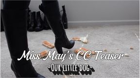 Our Little Dog