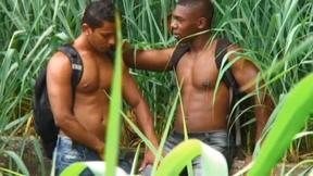 ”Marcelo Sousa & Nelson Barros”